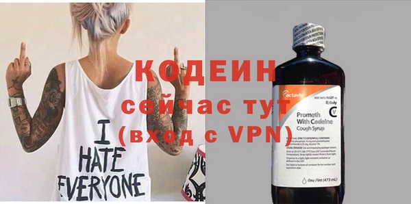прущие грибы Вяземский