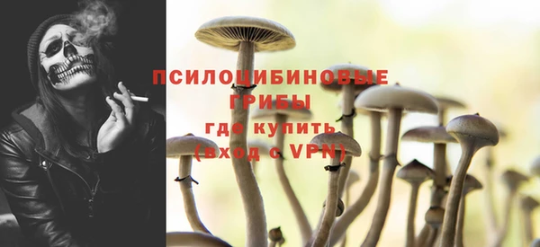 mdma Горнозаводск