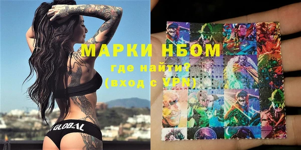 прущие грибы Вяземский