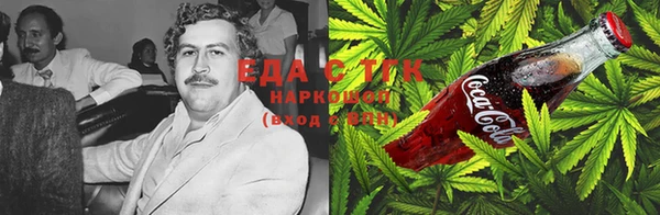 прущие грибы Вяземский