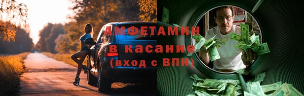 прущие грибы Вяземский