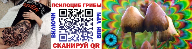 Галлюциногенные грибы мухоморы  Купить  Тетюши 